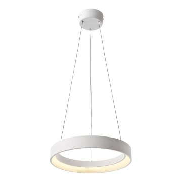 Redo 01-671 - LED Żyrandol na lince LOOP LED/38W/230V śr. 45 cm biały