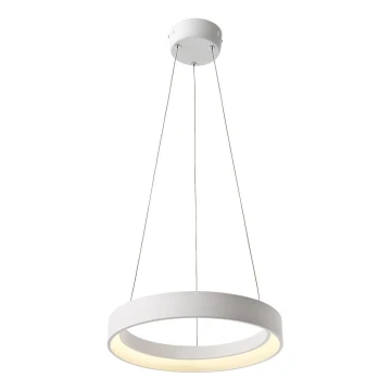 Redo 01-671 - LED Żyrandol na lince LOOP LED/38W/230V śr. 45 cm biały