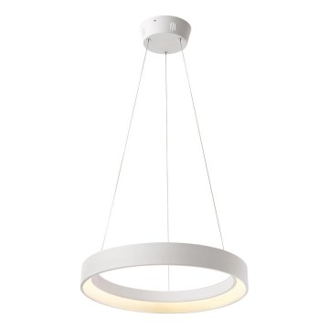 Redo 01-672 - LED Żyrandol na lince LOOP LED/48W/230V śr. 60 cm biały