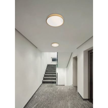 Redo 05-932 - LED Plafon KNOB LED/36W/230V 3000K-6500K 40 cm złoty