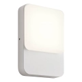 Redo 90128 - Kinkiet zewnętrzny LED COLIN LED/9W/230V 4000K IP54 biały
