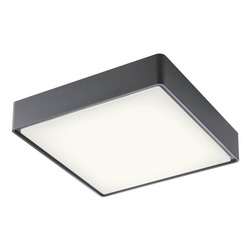 Redo 90158 - LED Plafon zewnętrzny MARINA LED/16W/230V 29,6x29,6 cm IP65 antracyt