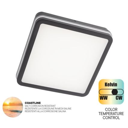 Redo 90288 - LED Plafon zewnętrzny ISOLA LED/24W/230V 26x26 cm 3000/4000/6500K IP54 antracyt