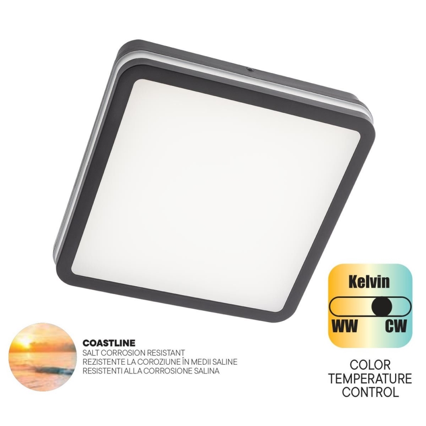 Redo 90288 - LED Plafon zewnętrzny ISOLA LED/24W/230V 26x26 cm 3000/4000/6500K IP54 antracyt