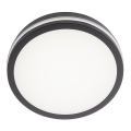 Redo 90290 - LED zewnętrzny plafon z czujnikiem ISOLA LED/24W/230V śr. 26 cm 3000/4000/6500K IP54 antracyt