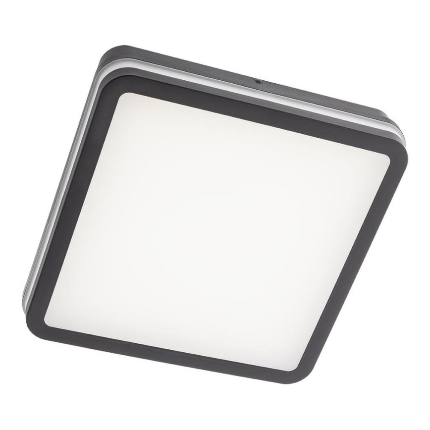 Redo 90292 - LED Plafon zewnętrzny z czujnikiem ISOLA LED/24W/230V 26x26 cm 3000/4000/6500K IP54 antracyt