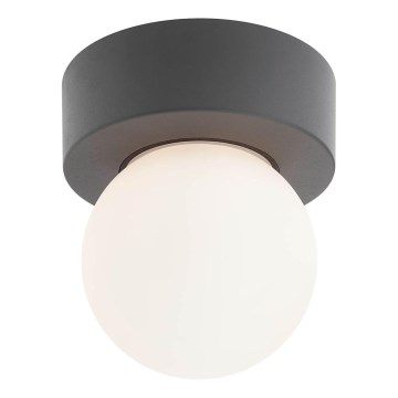 Redo 90641 - Plafon zewnętrzny BULK 1xE27/28W/230V IP44 antracyt