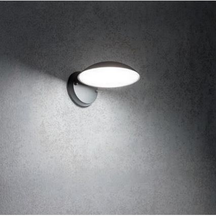 Redo 9617 - LED Kinkiet zewnętrzny CAPP LED/12W/230V IP54 antracyt