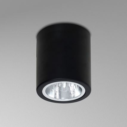 Reflektor DOWNLIGHT ROUND 1xE27/60W/230V 130x108mm