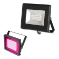 Reflektor LED LED/20W/230V IP65 różowe światło