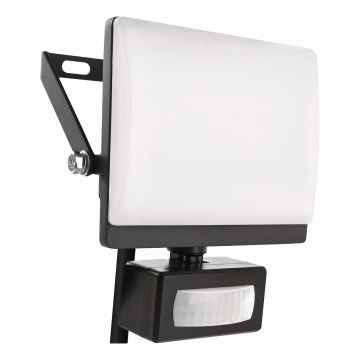 Reflektor LED z czujnikiem ruchu i zmierzchu TAMBO EVO LED/20W/230V 4000K IP44 czarny