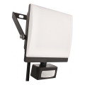 Reflektor LED z czujnikiem ruchu i zmierzchu TAMBO EVO LED/50W/230V 4000K IP44 czarny