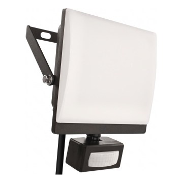 Reflektor LED z czujnikiem ruchu i zmierzchu TAMBO EVO LED/50W/230V 4000K IP44 czarny