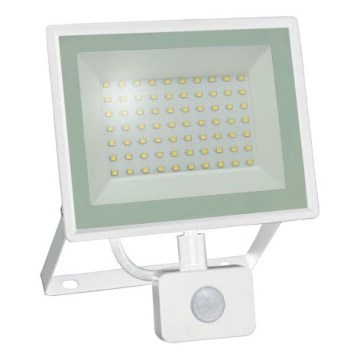 Reflektor LED z czujnikiem ruchu NOCTIS LUX 3 LED/50W/230V 4000K IP44 biały