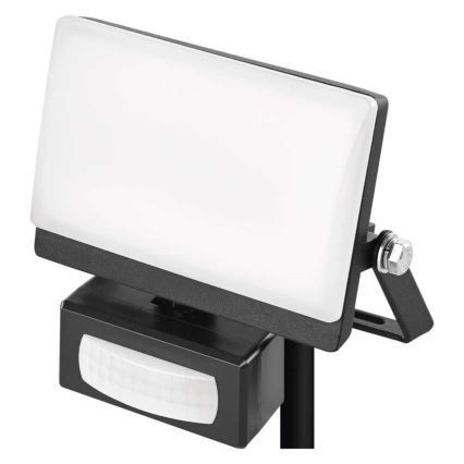 Reflektor LED z czujnikiem ruchu i zmierzchu TAMBO EVO LED/10W/230V 4000K IP44 czarny