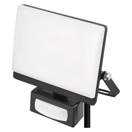 Reflektor LED z czujnikiem ruchu i zmierzchu TAMBO EVO LED/20W/230V 4000K IP44 czarny