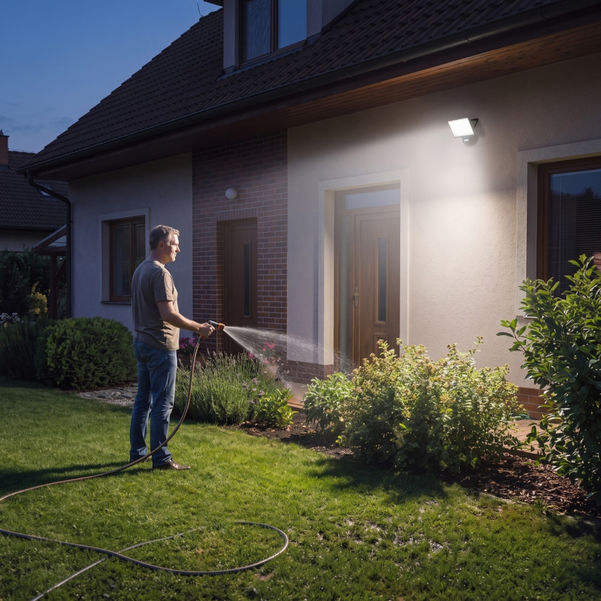 Naświetlacz LED z czujnikiem ruchu i zmierzchu TAMBO EVO LED/30W/230V 4000K IP44 czarny
