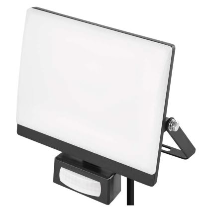 Naświetlacz LED z czujnikiem ruchu i zmierzchu TAMBO EVO LED/30W/230V 4000K IP44 czarny