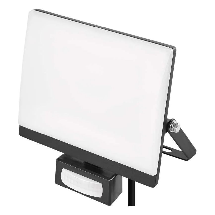 Naświetlacz LED z czujnikiem ruchu i zmierzchu TAMBO EVO LED/30W/230V 4000K IP44 czarny