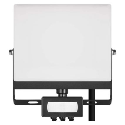 Naświetlacz LED z czujnikiem ruchu i zmierzchu TAMBO EVO LED/30W/230V 4000K IP44 czarny