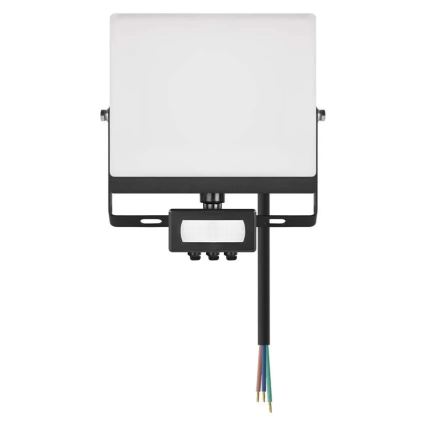 Naświetlacz LED z czujnikiem ruchu i zmierzchu TAMBO EVO LED/30W/230V 4000K IP44 czarny