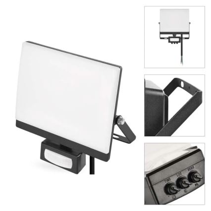 Naświetlacz LED z czujnikiem ruchu i zmierzchu TAMBO EVO LED/30W/230V 4000K IP44 czarny