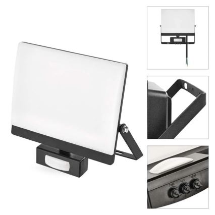 Reflektor LED z czujnikiem ruchu i zmierzchu TAMBO EVO LED/50W/230V 4000K IP44 czarny