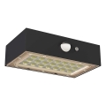 Reflektor solarny LED z czujnikiem ruchu LED/3,7V 1200mAh 4000K IP65 czarny