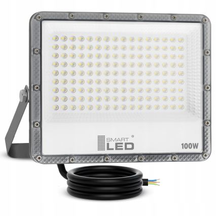 Reflektor zewnętrzny LED/100W/230V 4500K IP65 szary