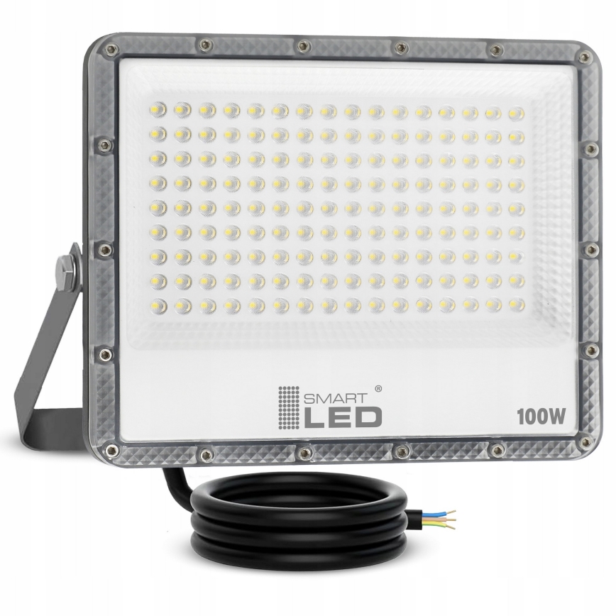 Reflektor zewnętrzny LED/100W/230V 4500K IP65 szary