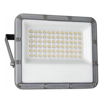 Reflektor zewnętrzny LED/50W/230V 4500K IP65 szary