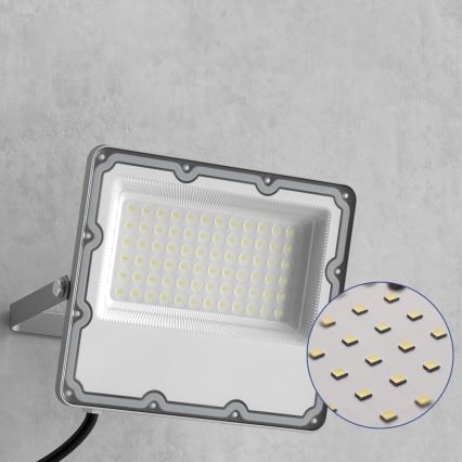 Reflektor zewnętrzny LED/50W/230V 4500K IP65 szary