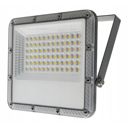 Reflektor zewnętrzny LED/50W/230V 4500K IP65 szary