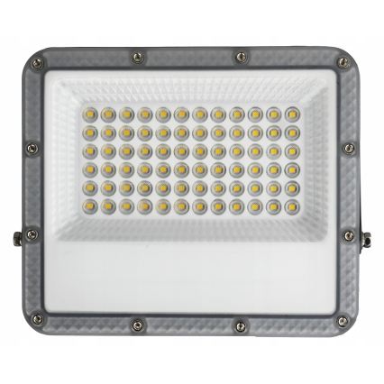 Reflektor zewnętrzny LED/50W/230V 4500K IP65 szary