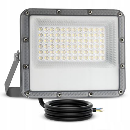Reflektor zewnętrzny LED/50W/230V 4500K IP65 szary
