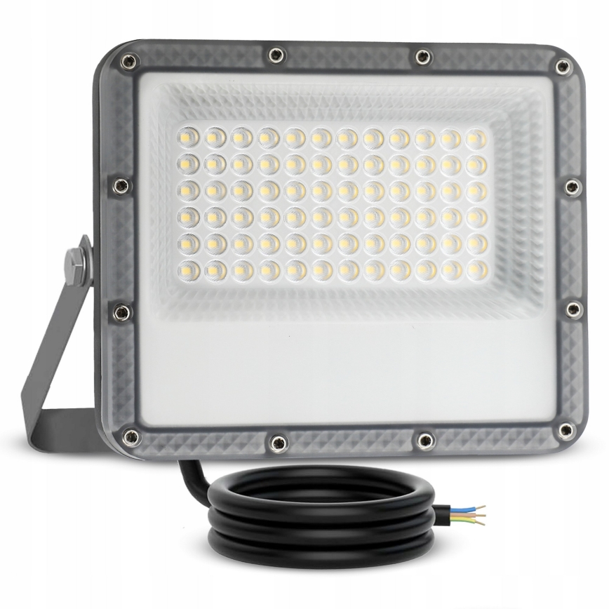Reflektor zewnętrzny LED/50W/230V 4500K IP65 szary