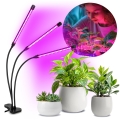Regulowana jasem elastyczna lampa stołowa LED z klipsem do uprawy roślin VITARO 3xLED/10W/230V czarna