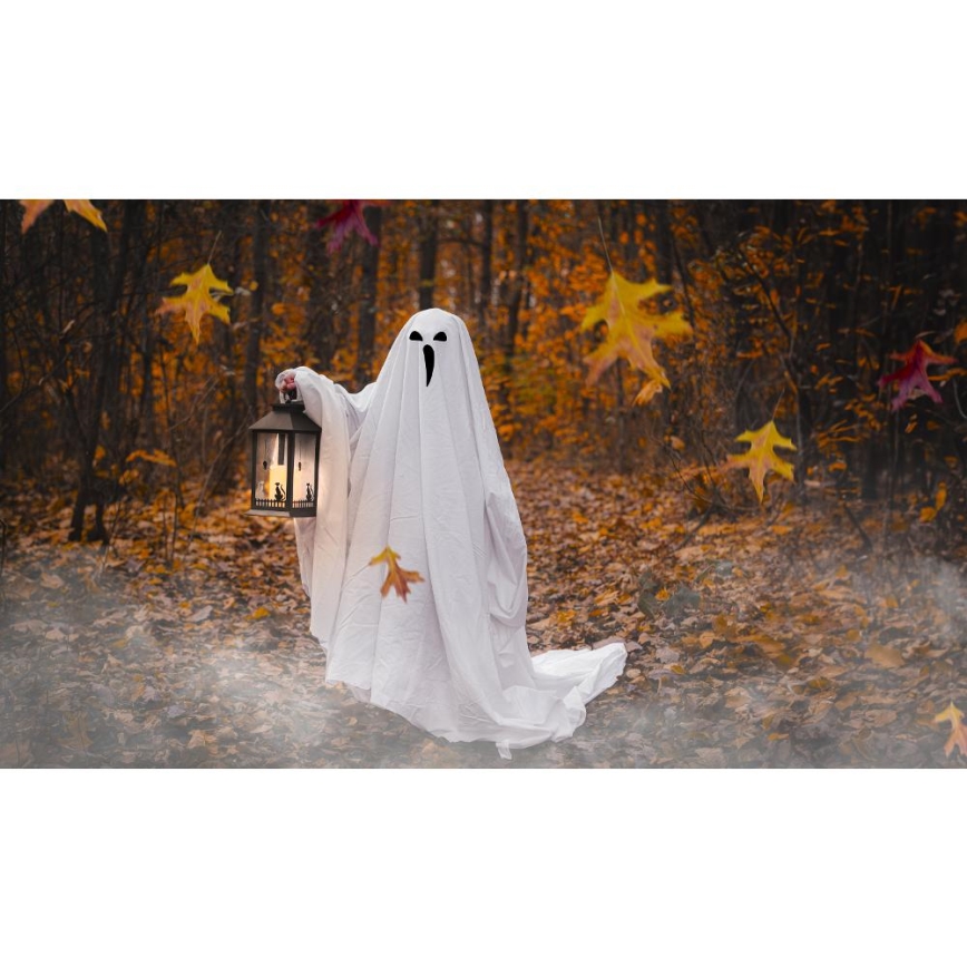 LED Dekoracja HALLOWEEN LED/3xAAA/ciepła biel lampion