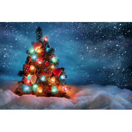 LED Świąteczny, ogrodowy łańcuch  40xLED/15m IP44 kolorowy