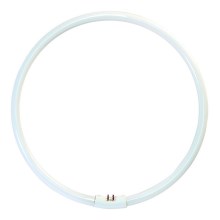 Round fluorescent tube T5 G10q/40W/230V 6500K - Fulgur 23327