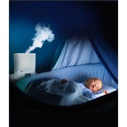 Rowenta - Nawilżacz powietrza AQUA BOOST 2,5 l 115W/230V