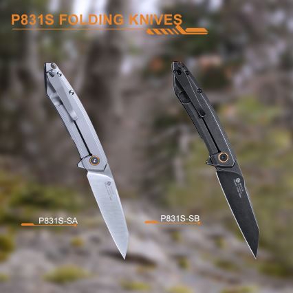 Ruike RUP831SSA - Nóż składany kompaktowy 19,5 cm srebrny