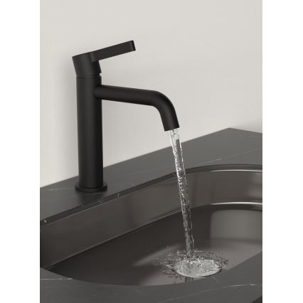 Sapho - Kran do umywalki ICONIC 18,7 cm matowy czarny