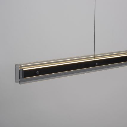 Schöner Wohnen 11316-18 - ściemnialna lampa wisząca na lince LENA LED/32W/230V czarna