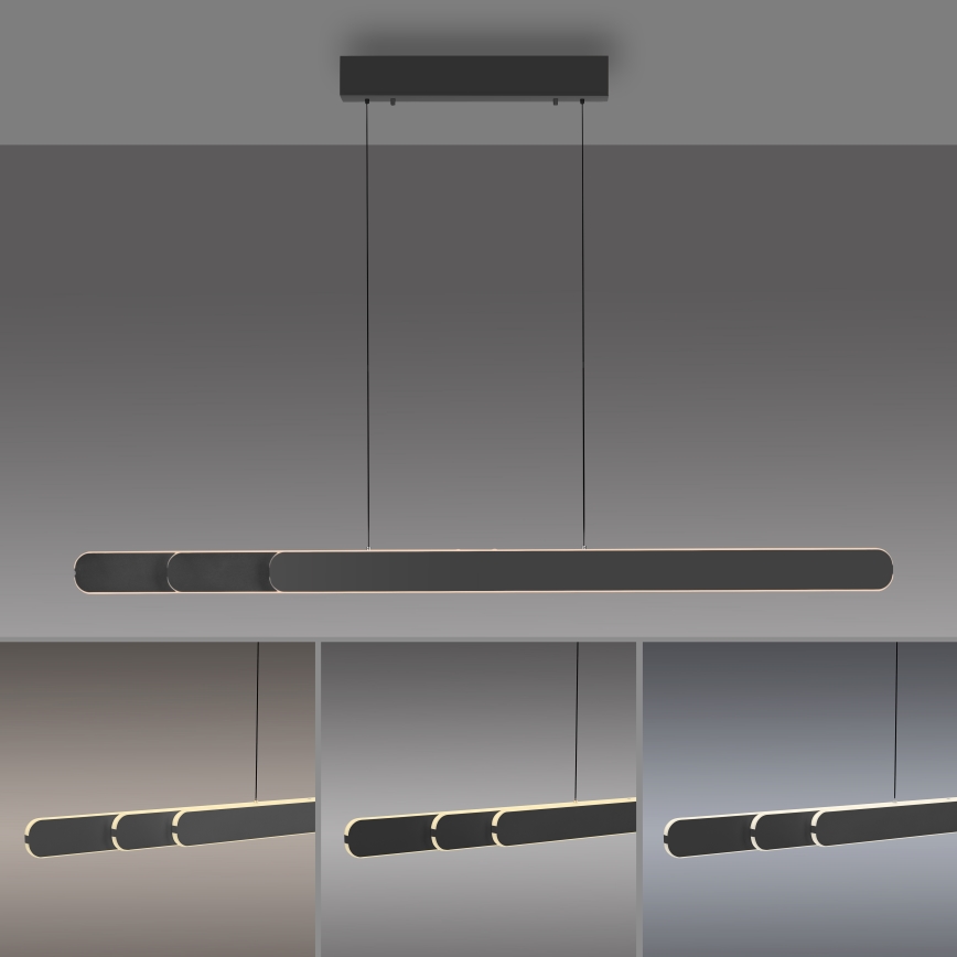 Schöner Wohnen 12577-18 - ściemnialny żyrandol LED na linkach ADRIANA ROUND 2xLED/24W/230V 2700/3000/3500/4000/5000K czarny