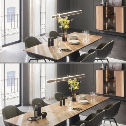 Schöner Wohnen 12577-39 - LED ściemnialny żyrandol na linkach ADRIANA ROUND 2xLED/24W/230V 2700/3000/3500/4000/5000K szary