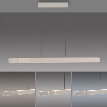 Schöner Wohnen 12577-39 - LED ściemnialny żyrandol na linkach ADRIANA ROUND 2xLED/24W/230V 2700/3000/3500/4000/5000K szary