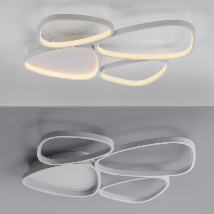 Schöner Wohnen 14038-16 - LED ściemnialna oprawa sufitowa PEBBLES LED/35,5W/230V biała