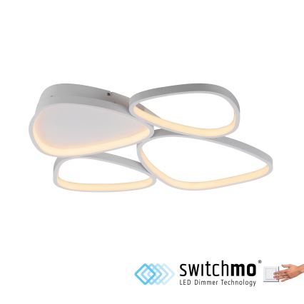 Schöner Wohnen 14038-16 - LED ściemnialna oprawa sufitowa PEBBLES LED/35,5W/230V biała