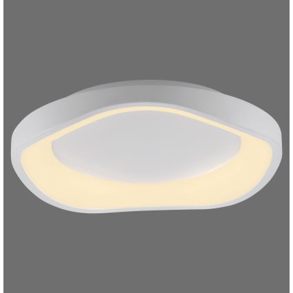Schöner Wohnen 14233-16 - Ściemnialna lampa sufitowa MONTA LED/21W/230V śr. 40 cm biała